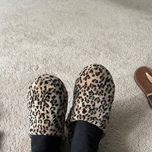 Cheetah slippers